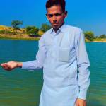 Anil Bhadrwal Profile Picture