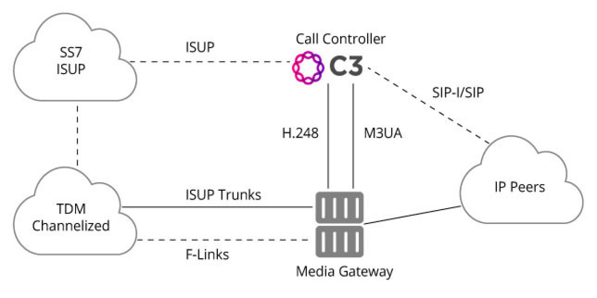 Expanding Call Control Market Analysis Across Global Enterprises